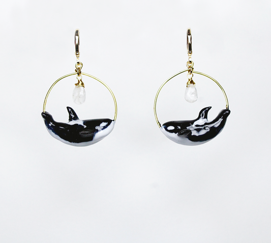 Aretes orca