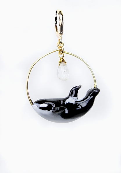 Aretes orca
